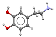 Dopamine Pathway